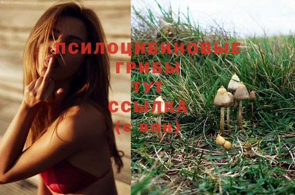мескалин Володарск
