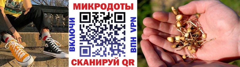 Галлюциногенные грибы мухоморы  MEGA как войти  Северская 